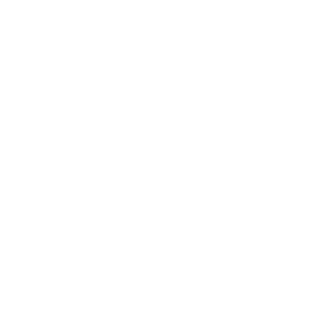 feature-item-1