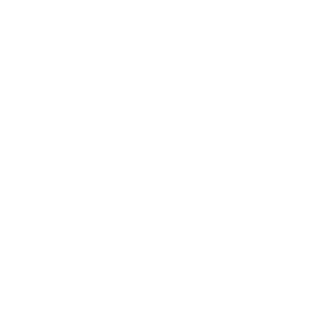 feature-item-2